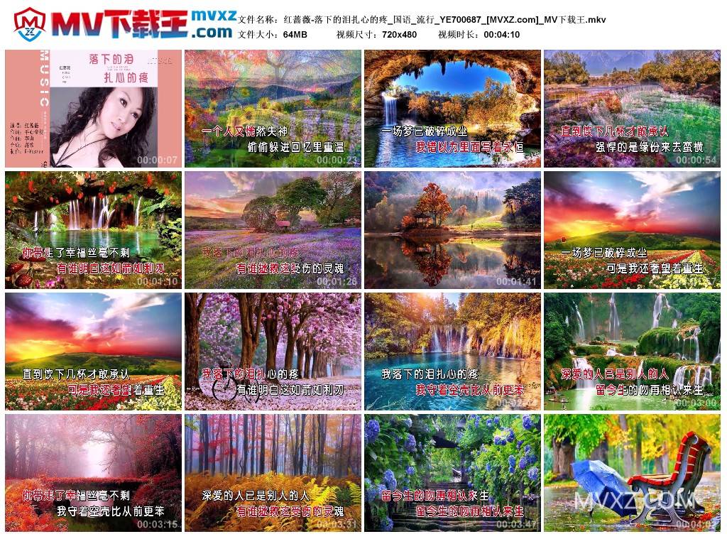 红蔷薇-落下的泪扎心的疼_国语_流行_YE700687